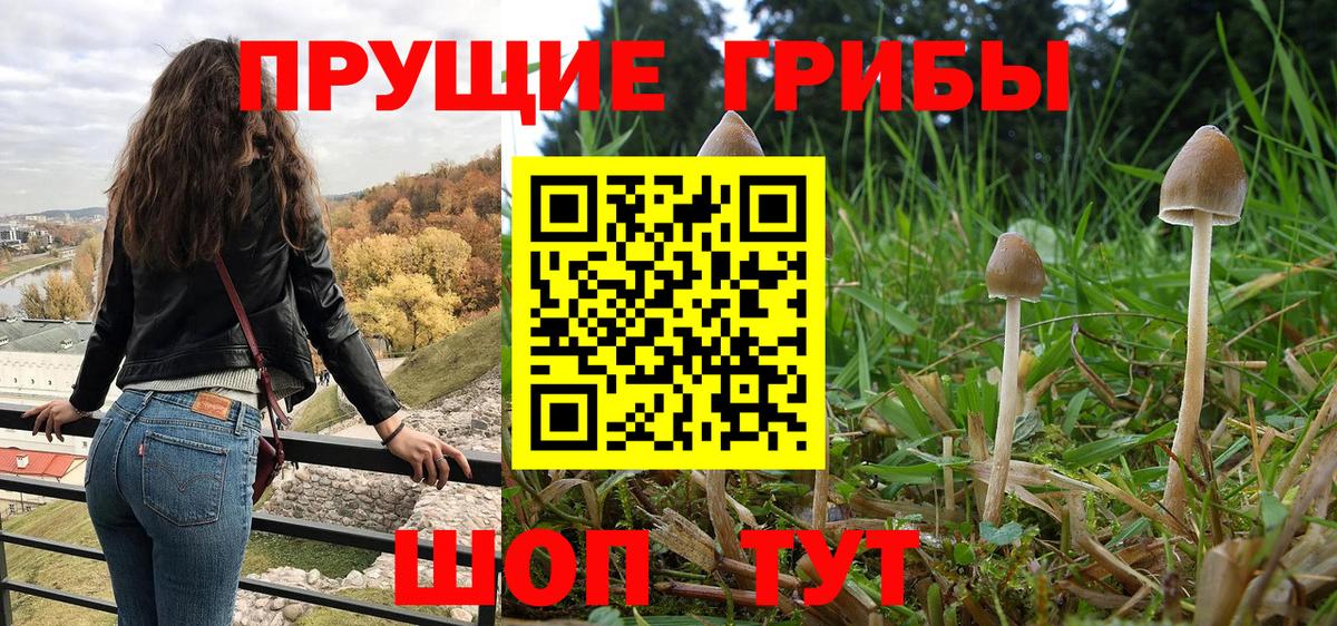Галлюциногенные грибы прущие грибы Волжск